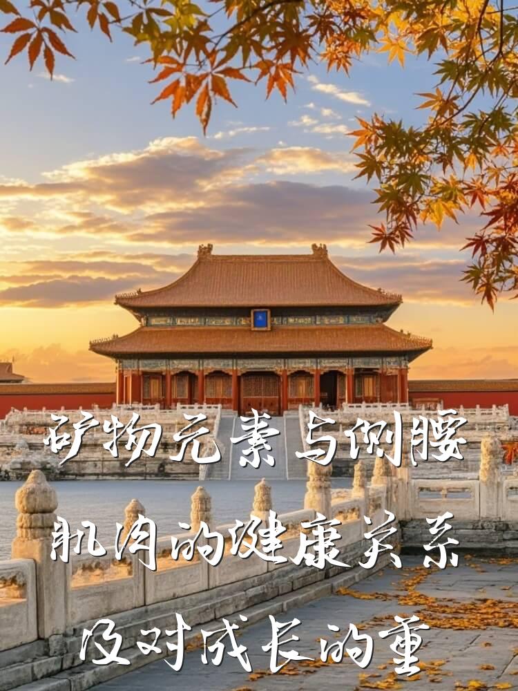 矿物元素与侧腰肌肉的健康关系及对成长的重要性