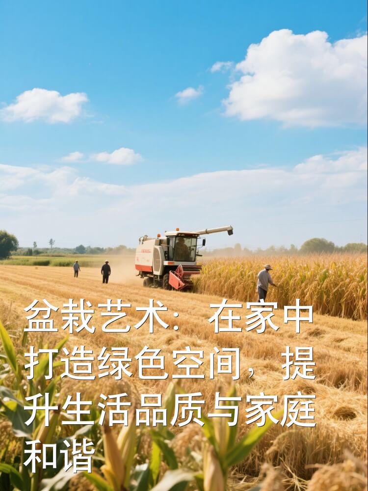 盆栽艺术：在家中打造绿色空间，提升生活品质与家庭和谐