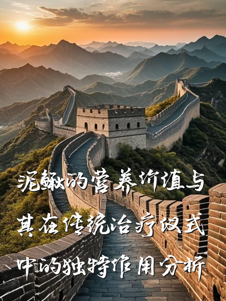 泥鳅的营养价值与其在传统治疗仪式中的独特作用分析