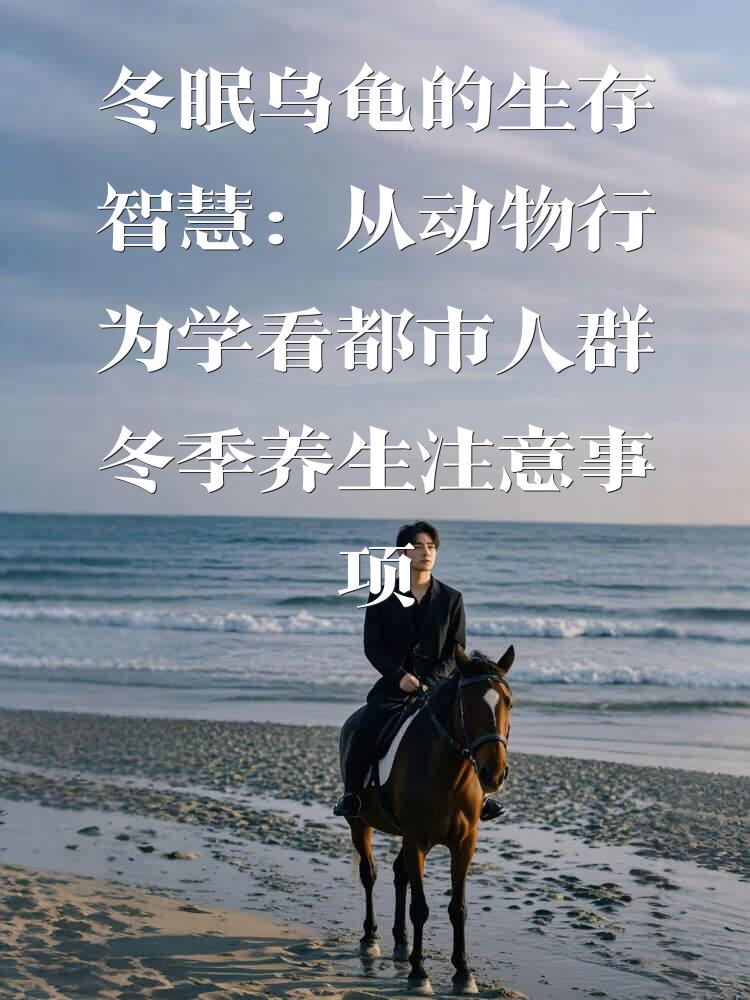 冬眠乌龟的生存智慧：从动物行为学看都市人群冬季养生注意事项