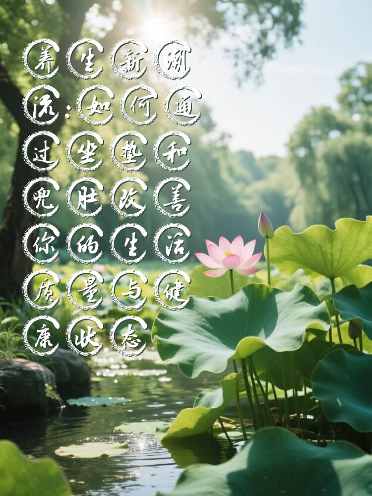 养生新潮流：如何通过坐垫和兜肚改善你的生活质量与健康状态