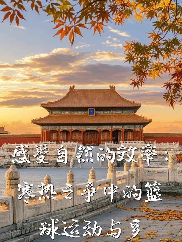 感受自然的效率：寒热之争中的篮球运动与多功能设计
