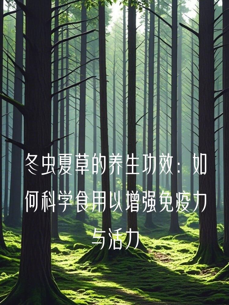 冬虫夏草的养生功效：如何科学食用以增强免疫力与活力