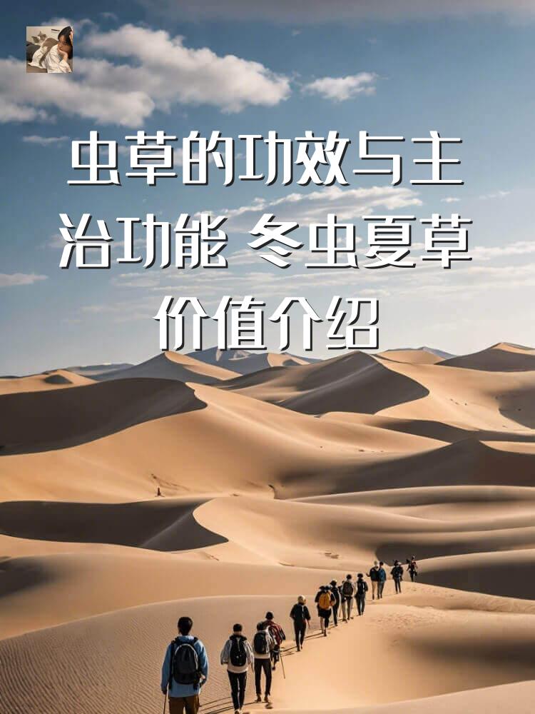 虫草的功效与主治功能 冬虫夏草价值介绍