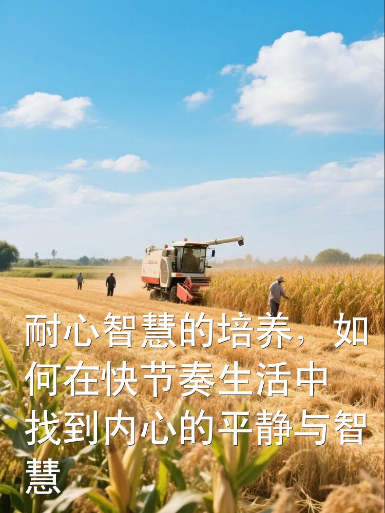 耐心智慧的培养，如何在快节奏生活中找到内心的平静与智慧