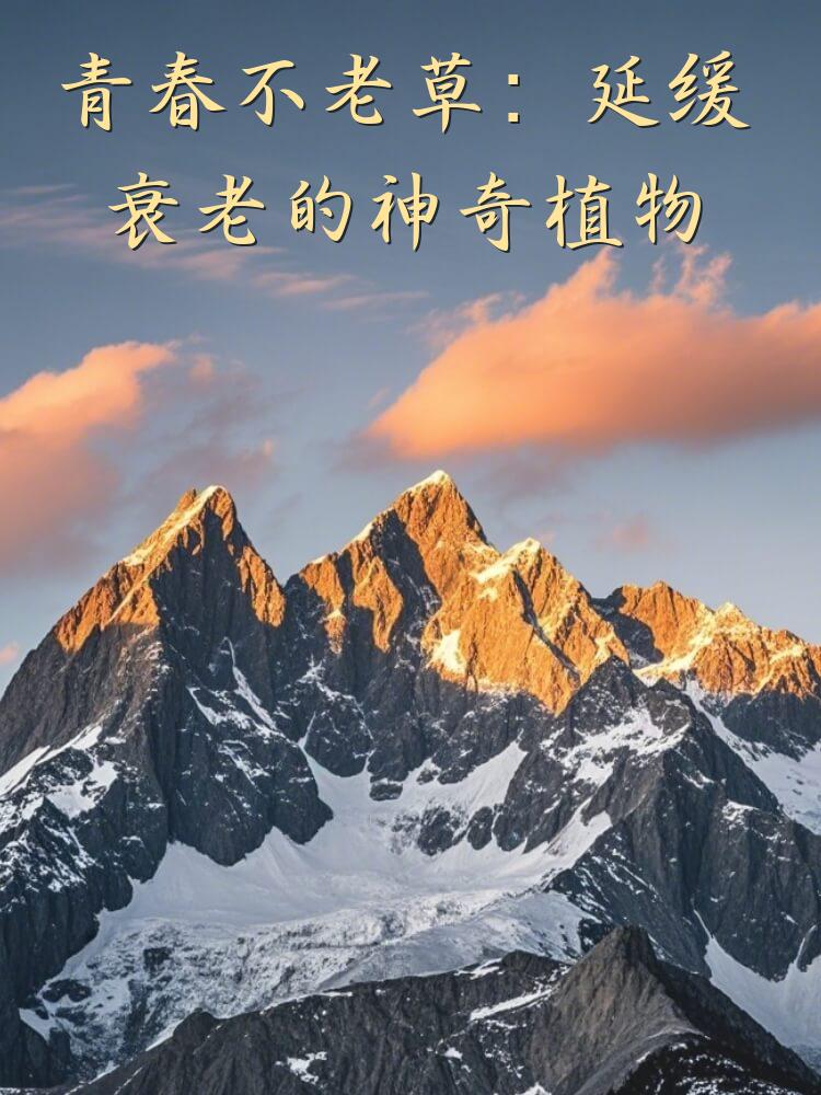 青春不老草：延缓衰老的神奇植物