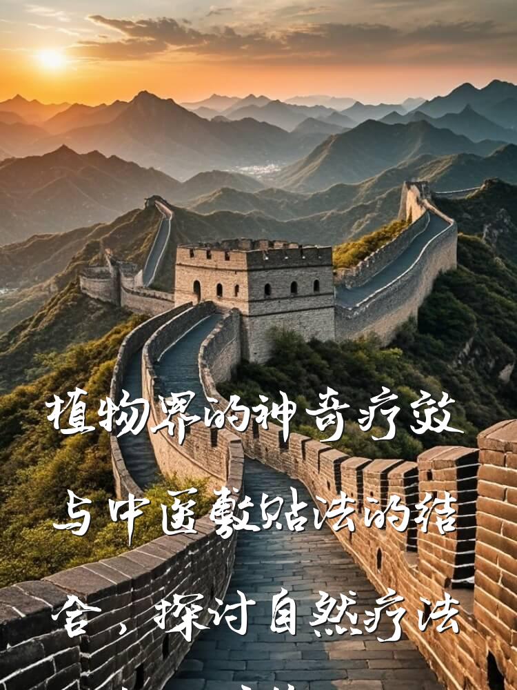 植物界的神奇疗效与中医敷贴法的结合，探讨自然疗法在现代养生中的重要性