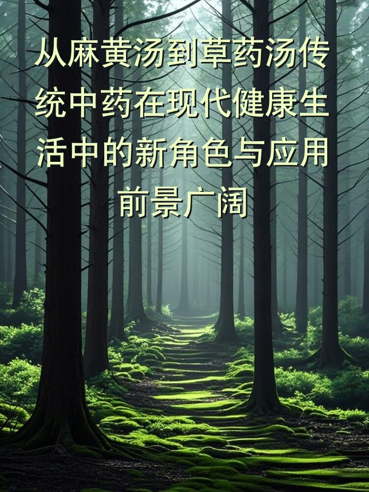 从麻黄汤到草药汤传统中药在现代健康生活中的新角色与应用前景广阔