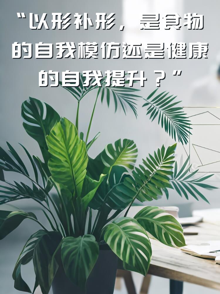 “以形补形，是食物的自我模仿还是健康的自我提升？”