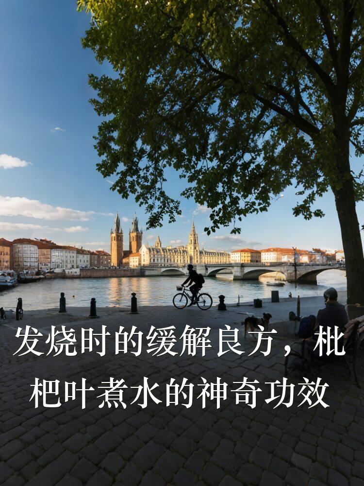 发烧时的缓解良方，枇杷叶煮水的神奇功效