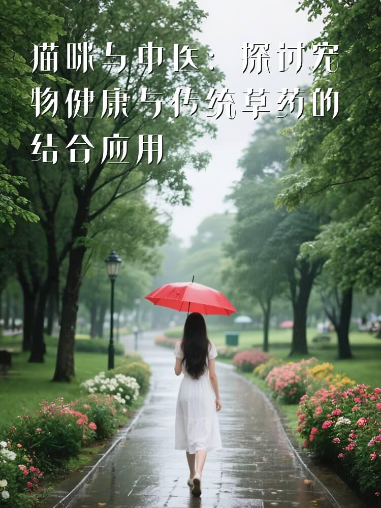 猫咪与中医：探讨宠物健康与传统草药的结合应用