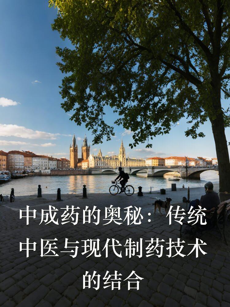 中成药的奥秘：传统中医与现代制药技术的结合