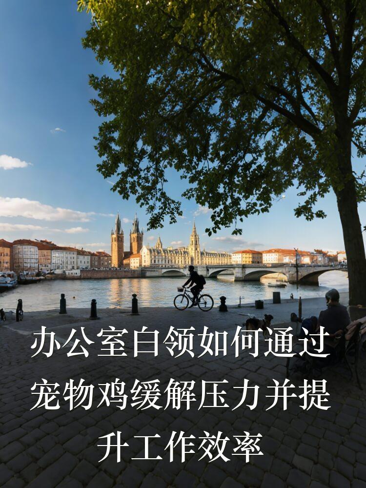 办公室白领如何通过宠物鸡缓解压力并提升工作效率