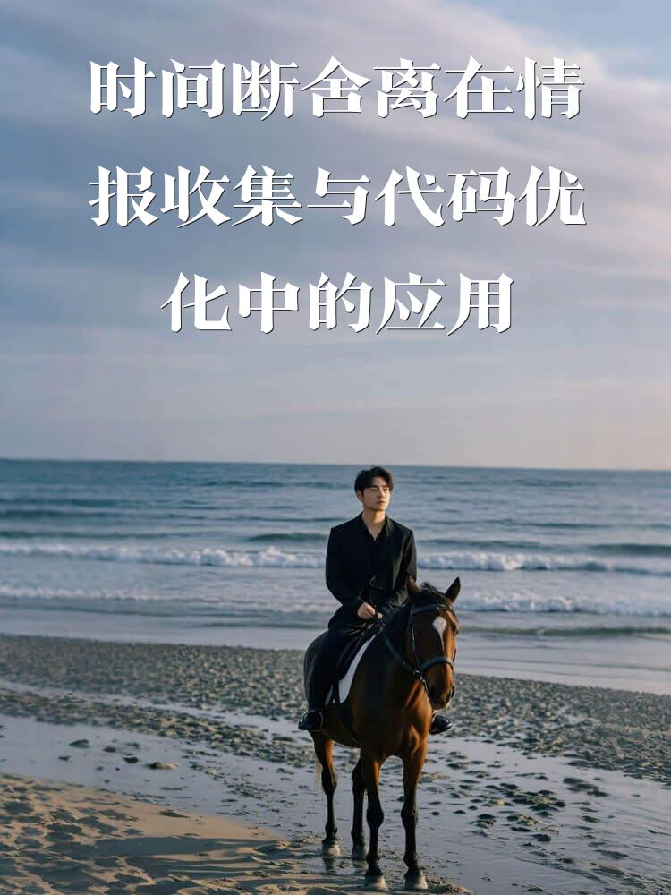 时间断舍离在情报收集与代码优化中的应用