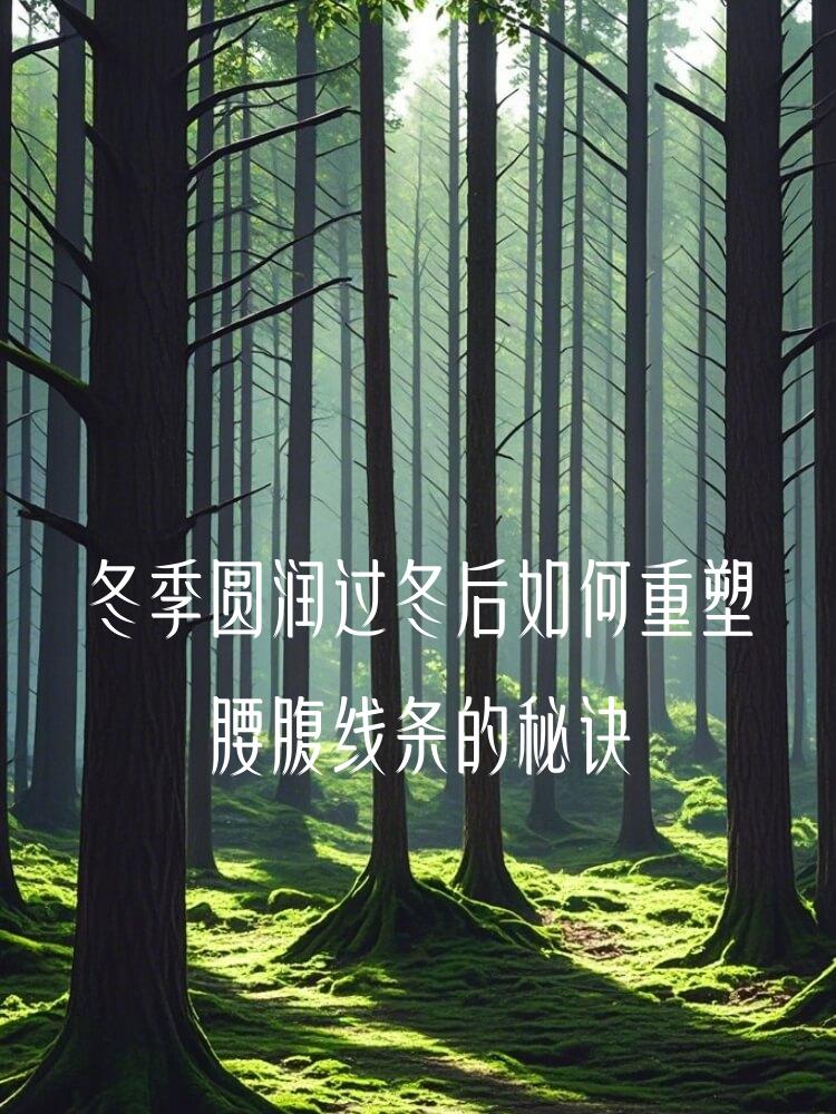 冬季圆润过冬后如何重塑腰腹线条的秘诀