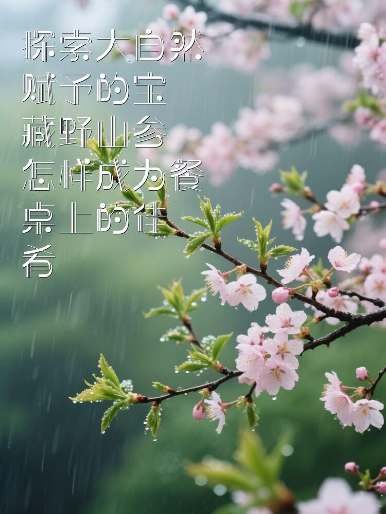 探索大自然赋予的宝藏野山参怎样成为餐桌上的佳肴