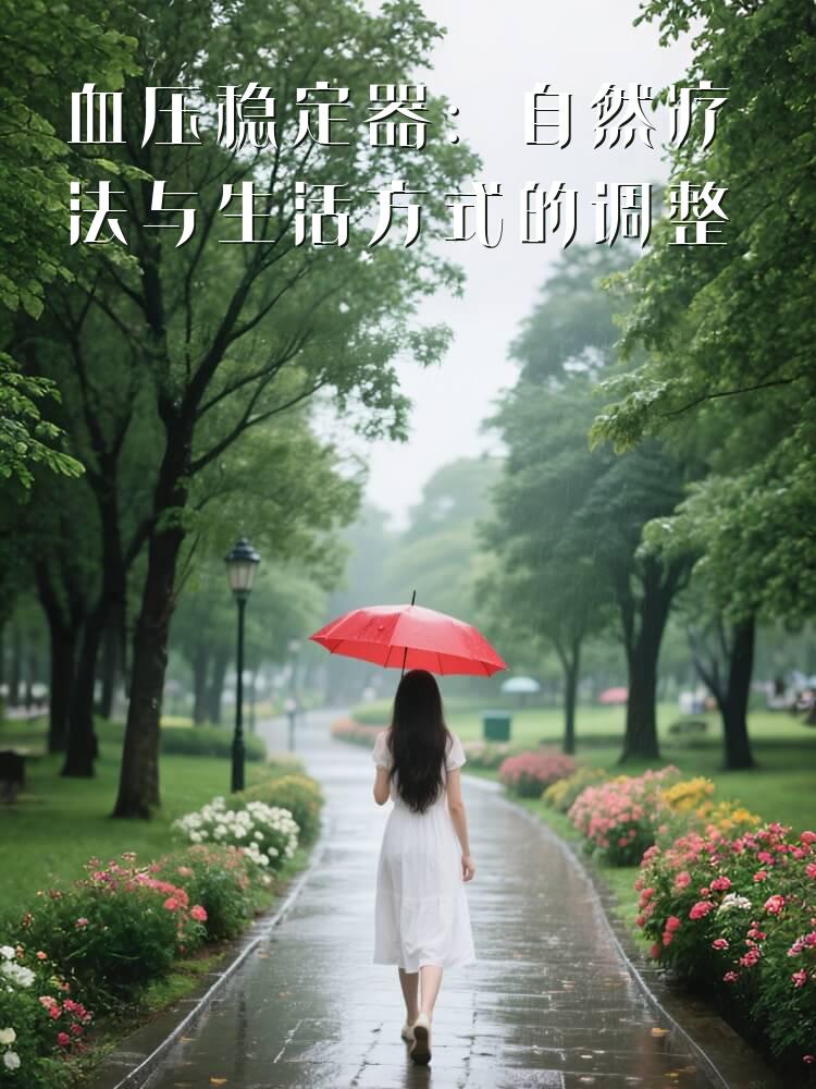 血压稳定器：自然疗法与生活方式的调整