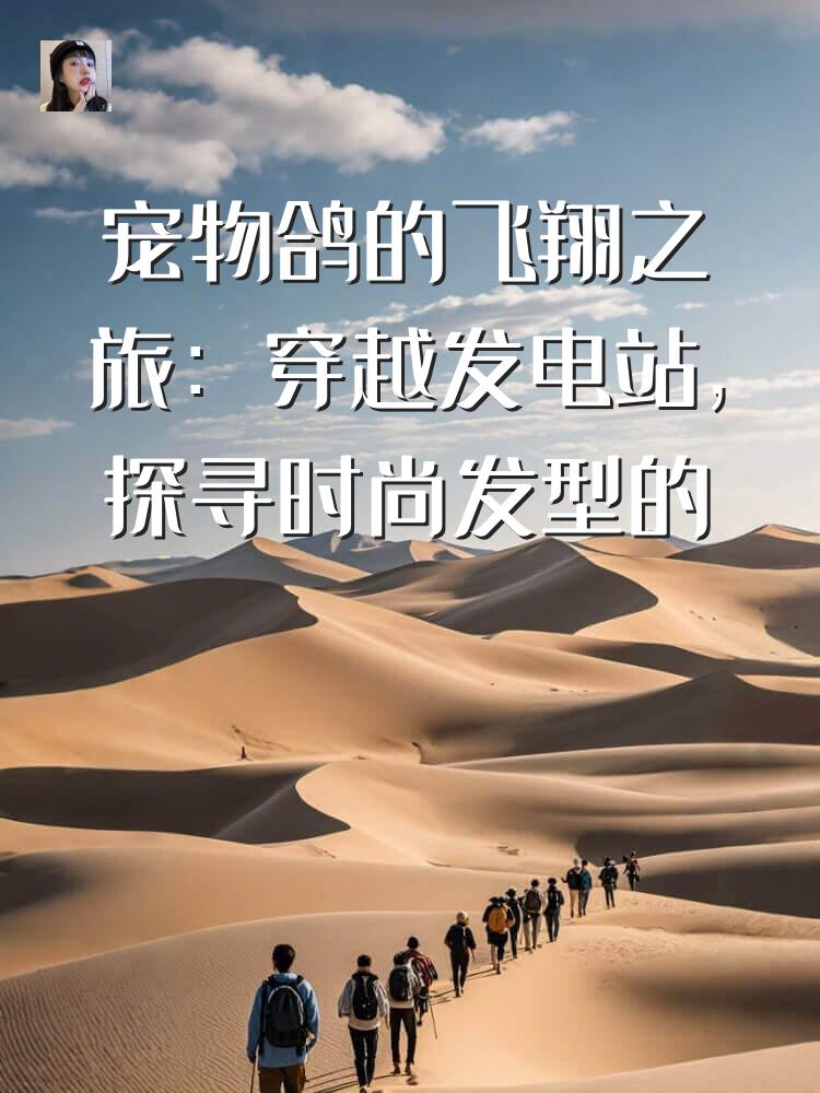 宠物鸽的飞翔之旅：穿越发电站，探寻时尚发型的灵感