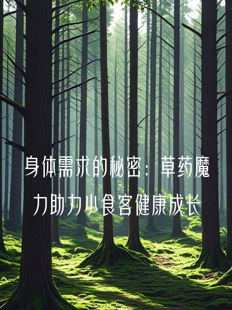 身体需求的秘密：草药魔力助力小食客健康成长