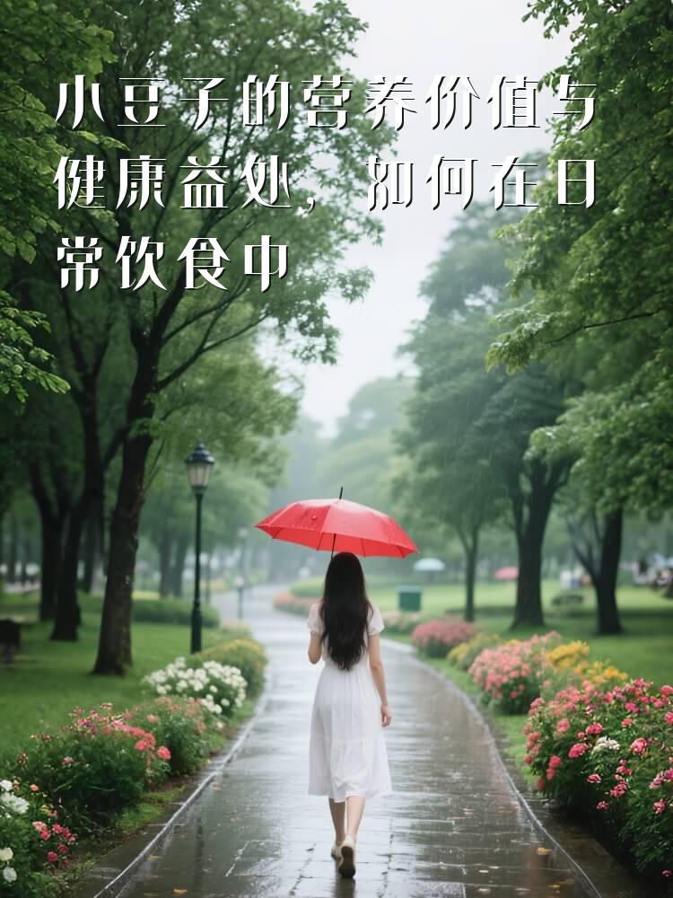 小豆子的营养价值与健康益处，如何在日常饮食中加入小豆子