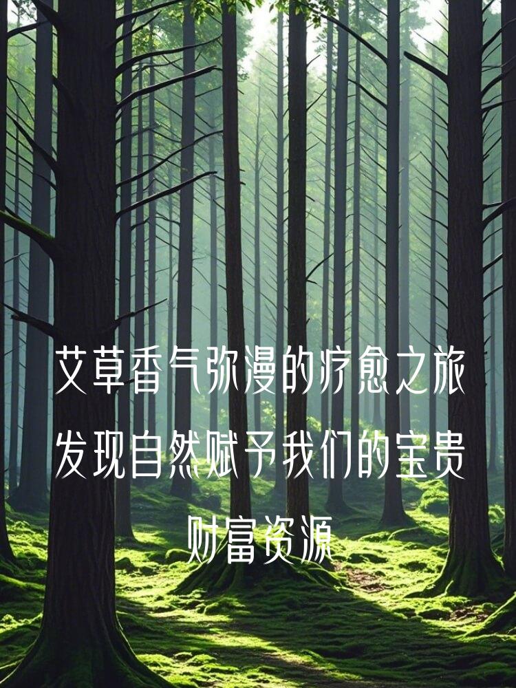 艾草香气弥漫的疗愈之旅发现自然赋予我们的宝贵财富资源
