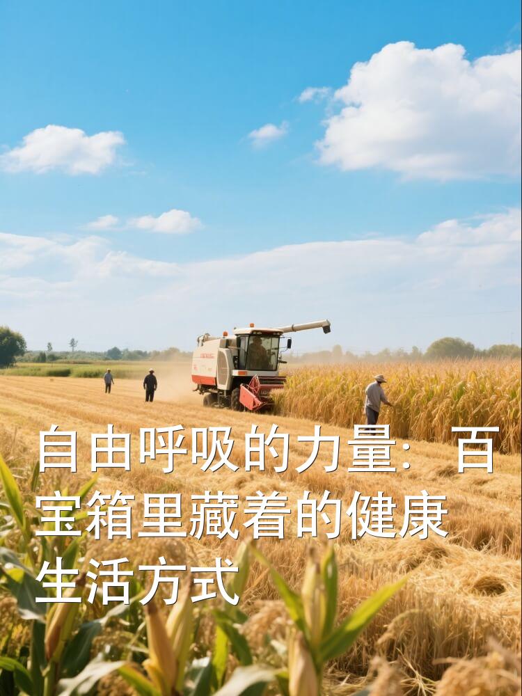 自由呼吸的力量：百宝箱里藏着的健康生活方式