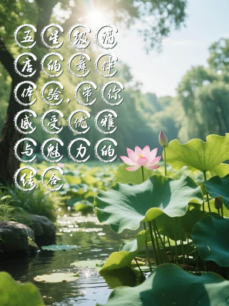 五星级酒店的舞伴体验，带你感受优雅与魅力的结合