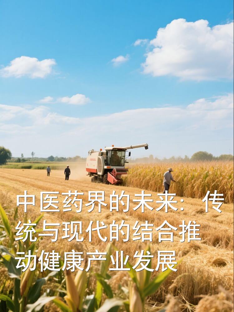 中医药界的未来：传统与现代的结合推动健康产业发展