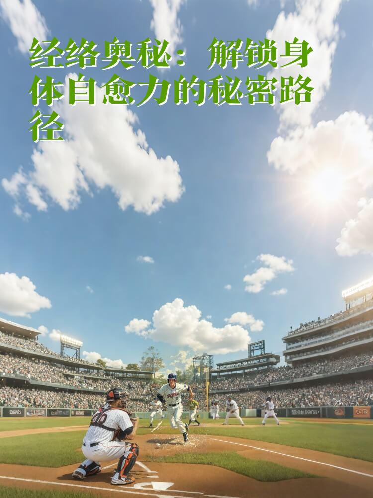 经络奥秘：解锁身体自愈力的秘密路径