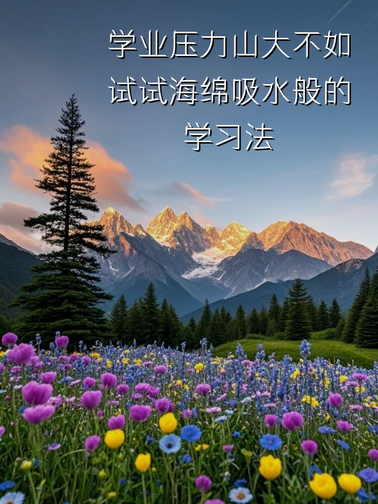 学业压力山大不如试试海绵吸水般的学习法