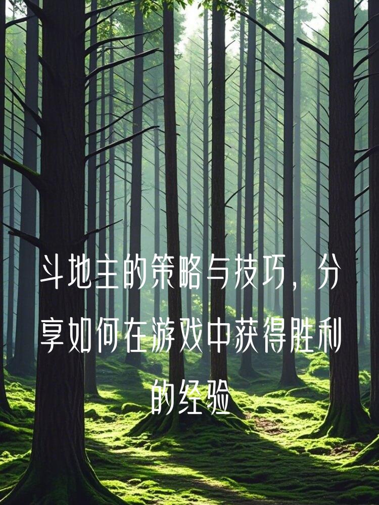 斗地主的策略与技巧，分享如何在游戏中获得胜利的经验