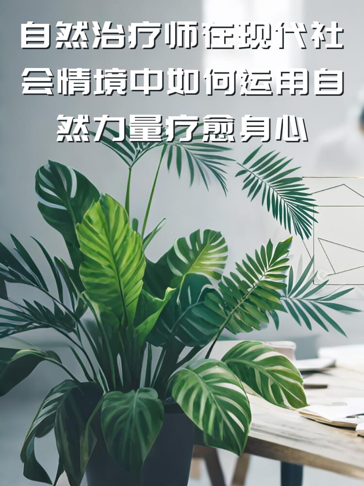 自然治疗师在现代社会情境中如何运用自然力量疗愈身心