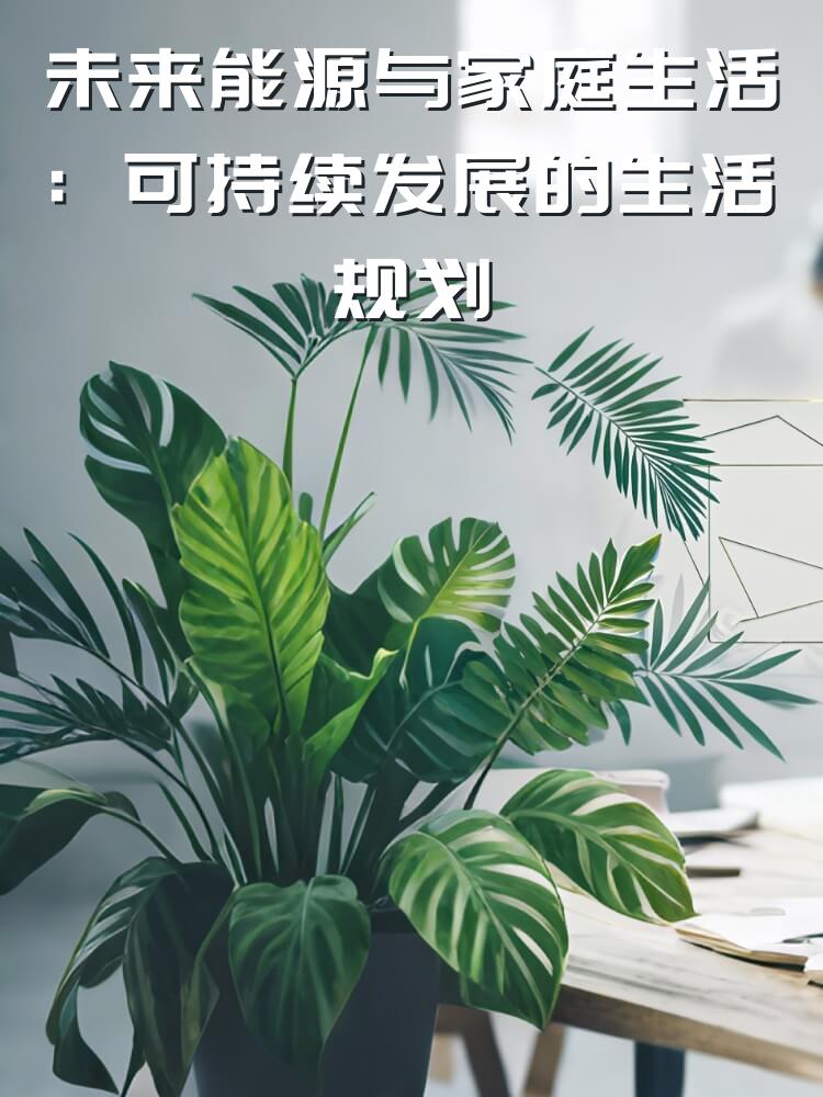 未来能源与家庭生活：可持续发展的生活规划