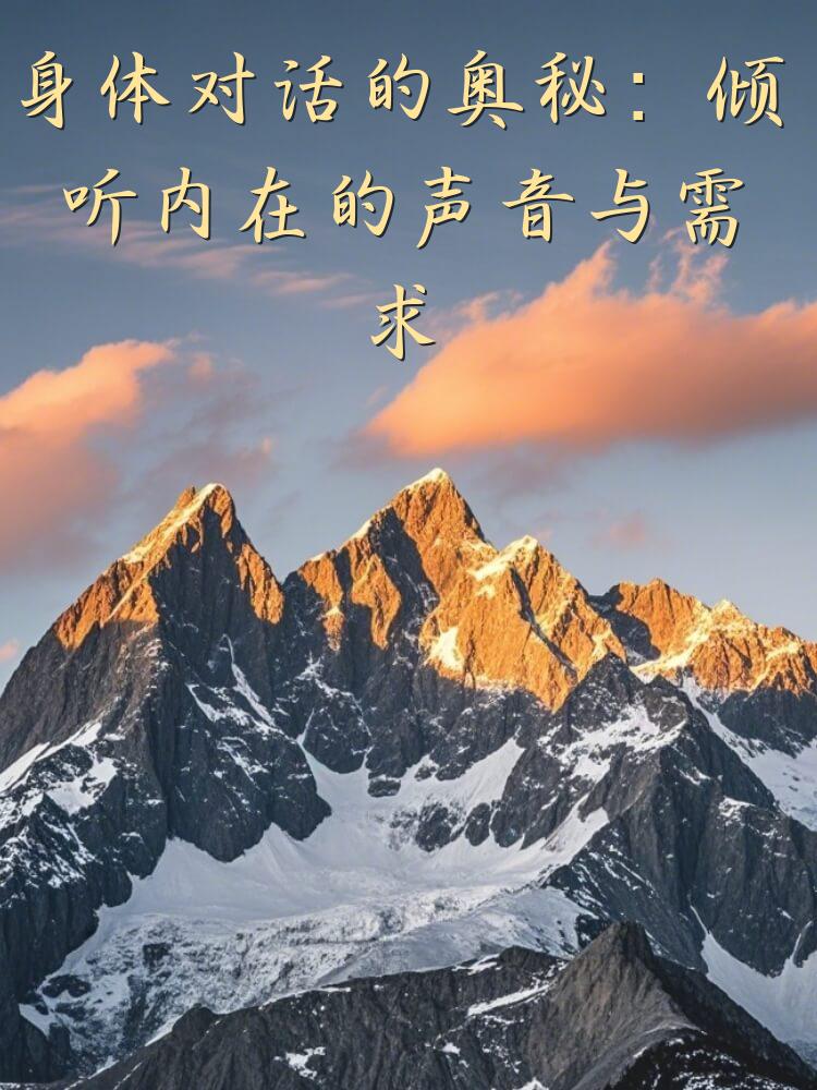 身体对话的奥秘：倾听内在的声音与需求